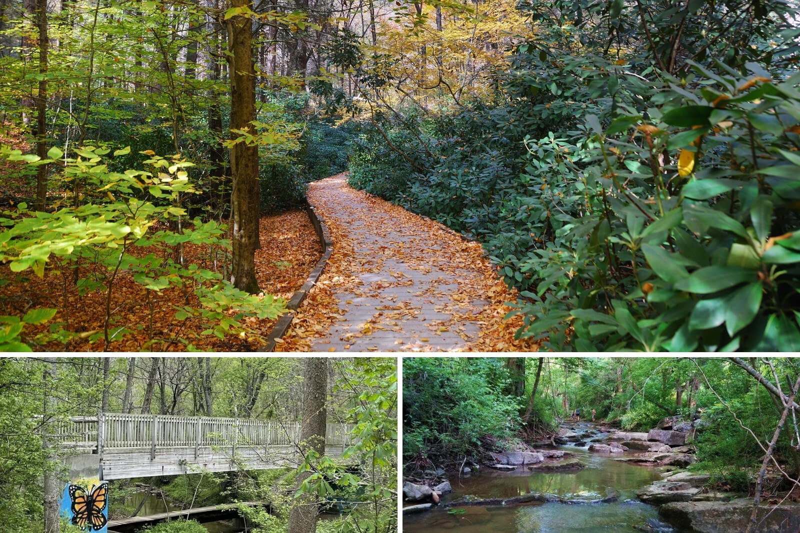Taking a relaxing walk at Wildwood Park in Vienna VA